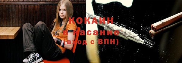 шишки Алексеевка
