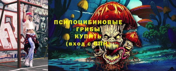 шишки Алексеевка