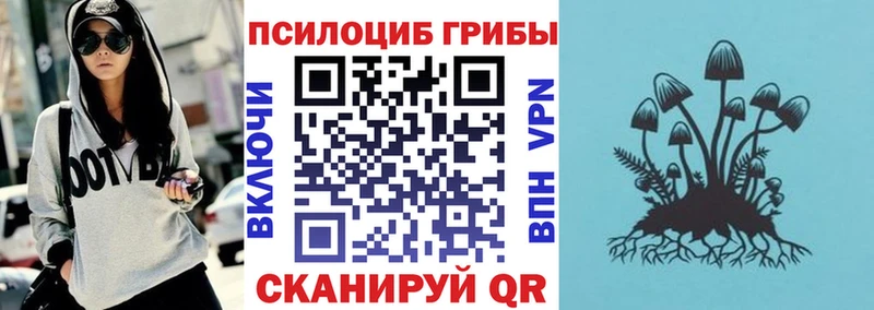Псилоцибиновые грибы ЛСД  наркошоп  Козловка 